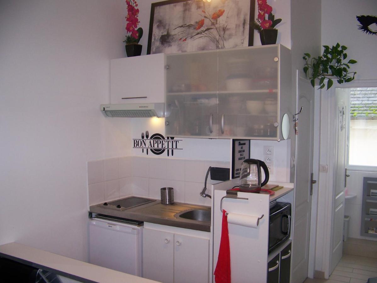 Charmant Studio Au Calme Tout Confort Dans Chateau Neo Gothique Proche Zenith Comet Orleans Parking Voiture Gratuit Wifi Haut Debit Rue Des Montees Eksteriør bilde