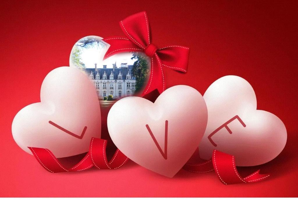 Charmant Studio Au Calme Tout Confort Dans Chateau Neo Gothique Proche Zenith Comet Orleans Parking Voiture Gratuit Wifi Haut Debit Rue Des Montees Eksteriør bilde