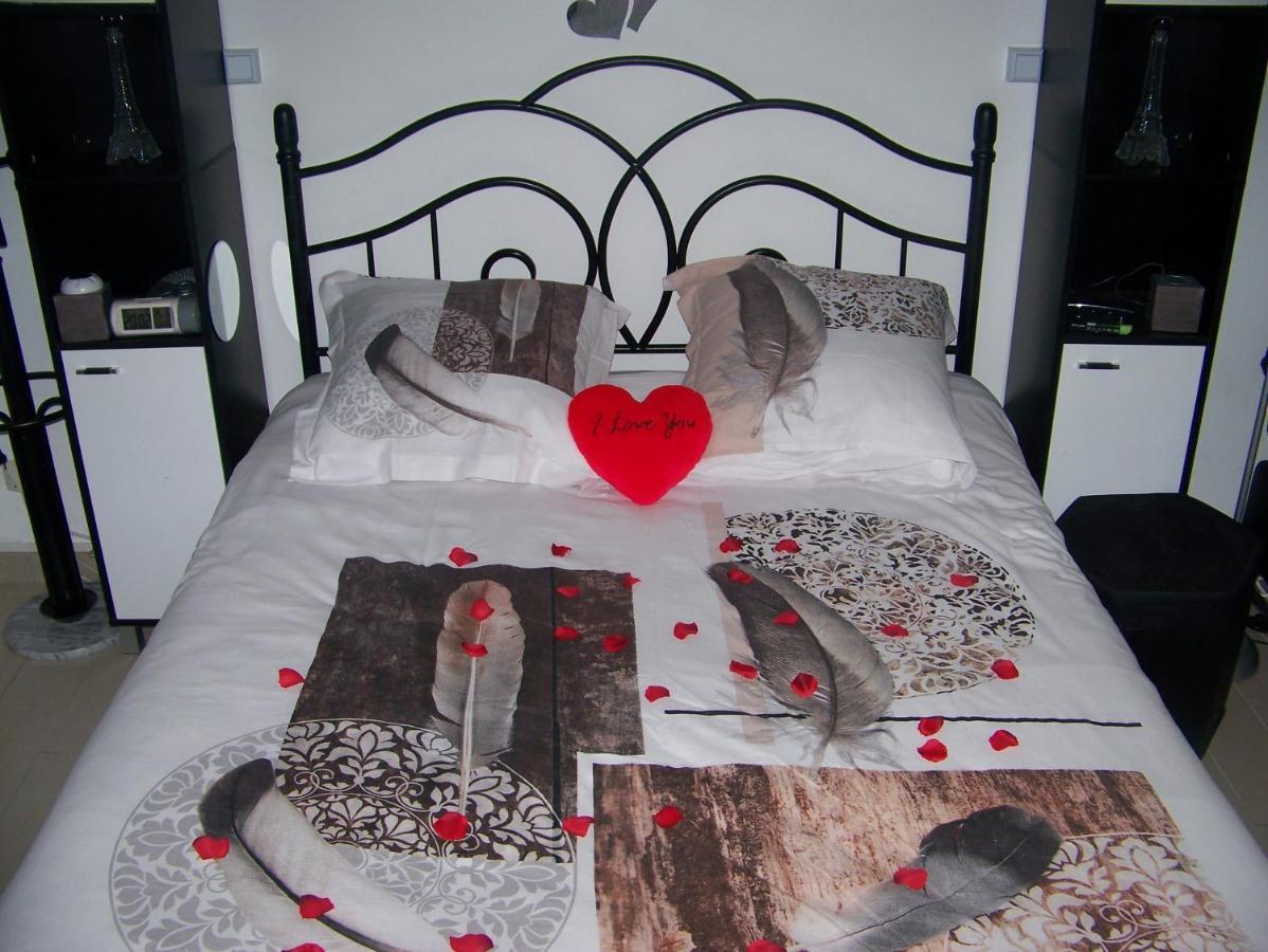 Charmant Studio Au Calme Tout Confort Dans Chateau Neo Gothique Proche Zenith Comet Orleans Parking Voiture Gratuit Wifi Haut Debit Rue Des Montees Eksteriør bilde