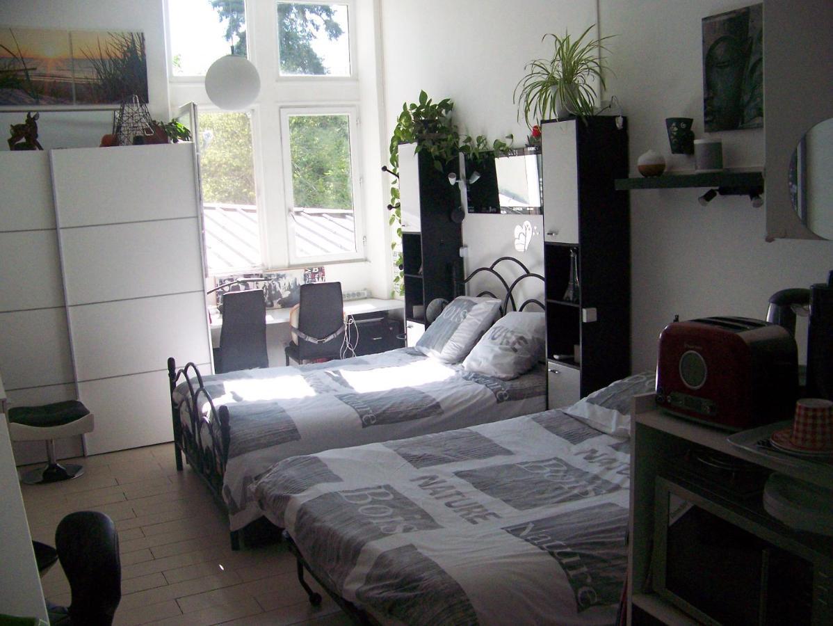 Charmant Studio Au Calme Tout Confort Dans Chateau Neo Gothique Proche Zenith Comet Orleans Parking Voiture Gratuit Wifi Haut Debit Rue Des Montees Eksteriør bilde
