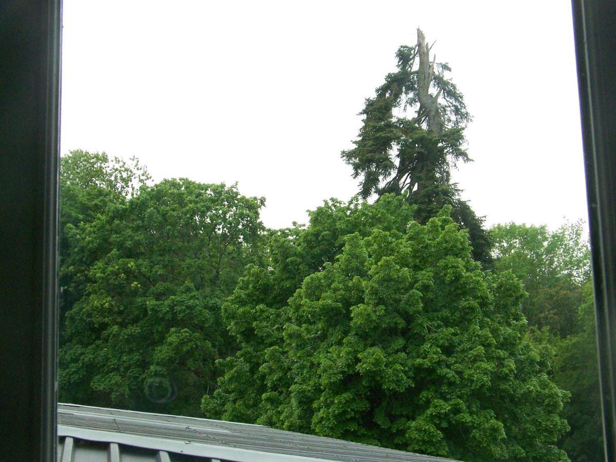 Charmant Studio Au Calme Tout Confort Dans Chateau Neo Gothique Proche Zenith Comet Orleans Parking Voiture Gratuit Wifi Haut Debit Rue Des Montees Eksteriør bilde